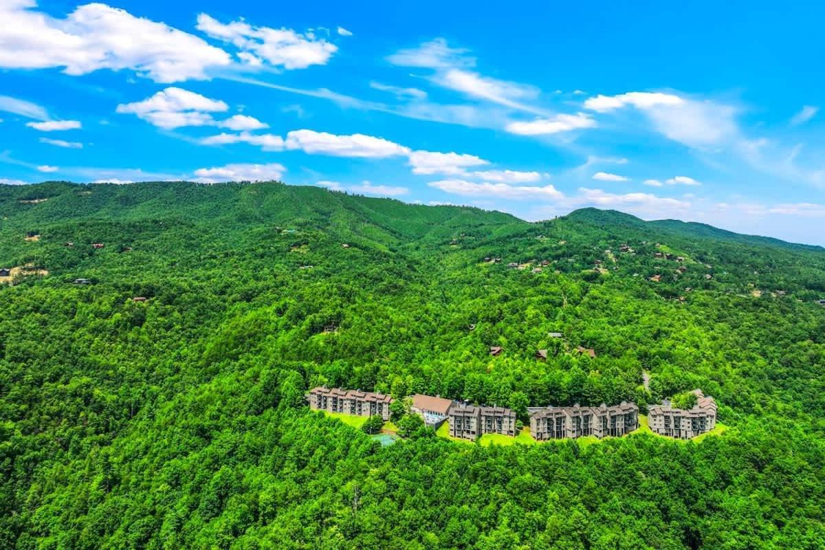 Ferienhaus Black Bear Bliss Gatlinburg